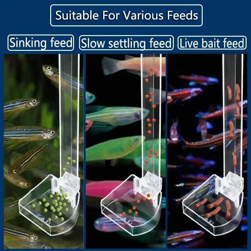1Set Acryl Aquarium Feeder Rohr Schüssel Transparent Aquarium Garnelen Schnecke Garnelen Lebensmittel Feeder Bowl Aquarium Fütterung Zubehör