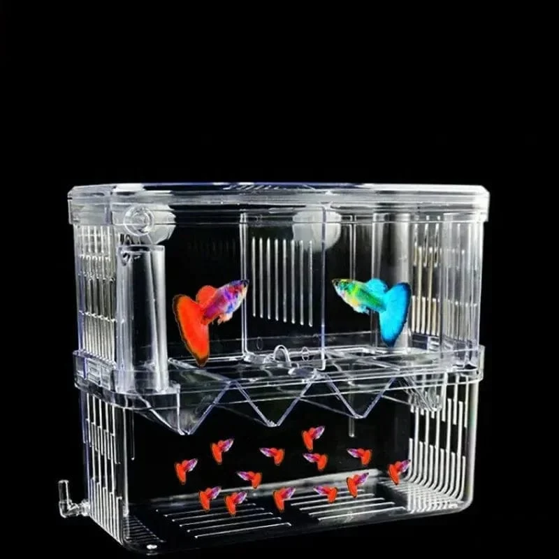 S/L/XL Aquarium Acryl Doppeldeck Klare Fischzucht Isolationsbox Aquarium Züchter Fisch Brüterei Teiler Garnelenfische Verletzt