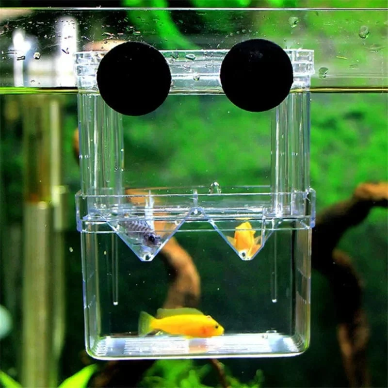 S/L/XL Aquarium Acryl Doppeldeck Klare Fischzucht Isolationsbox Aquarium Züchter Fisch Brüterei Teiler Garnelenfische Verletzt