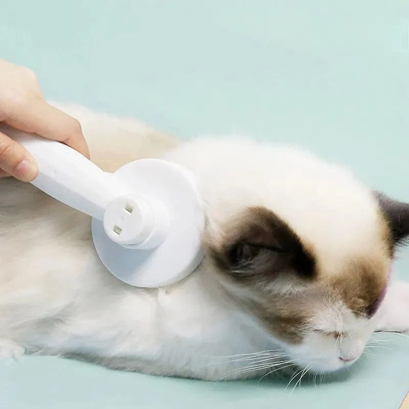 Katzenkamm, Haarentfernung, magischer Haustierkamm, schwimmender Haarentfernungskamm mit einem Klick, für Katzen und Hunde, universelle Reinigungs- und Schönheitsartikel