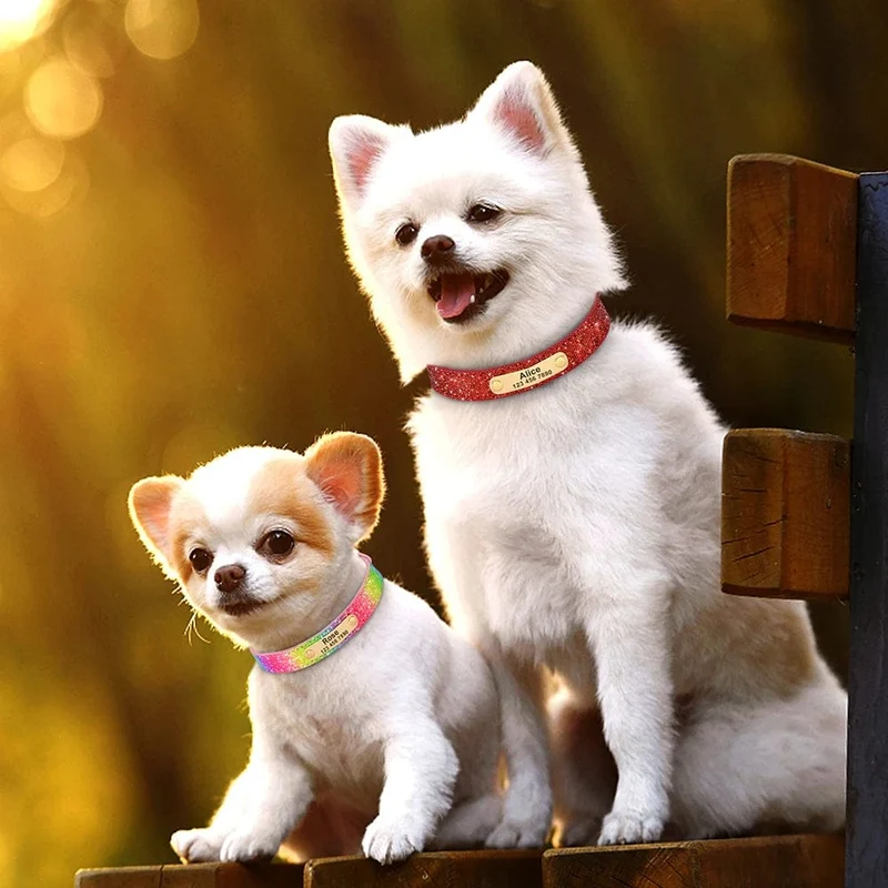 Personalisiertes Hunde-/Katzenhalsband, verstellbar, Katzenhalsbänder mit Kristallen, Anti-Verlust-Leder, Welpen-/Katzenhalskette, Fliege, Strass-Accessoires