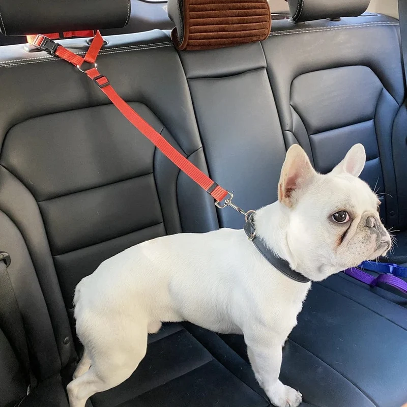 2-in-1-Hundegeschirr aus Nylon, verstellbar, Halsband, Hundezubehör, Sicherheitsgurt fürs Auto, Leine, Rücksitzgurt