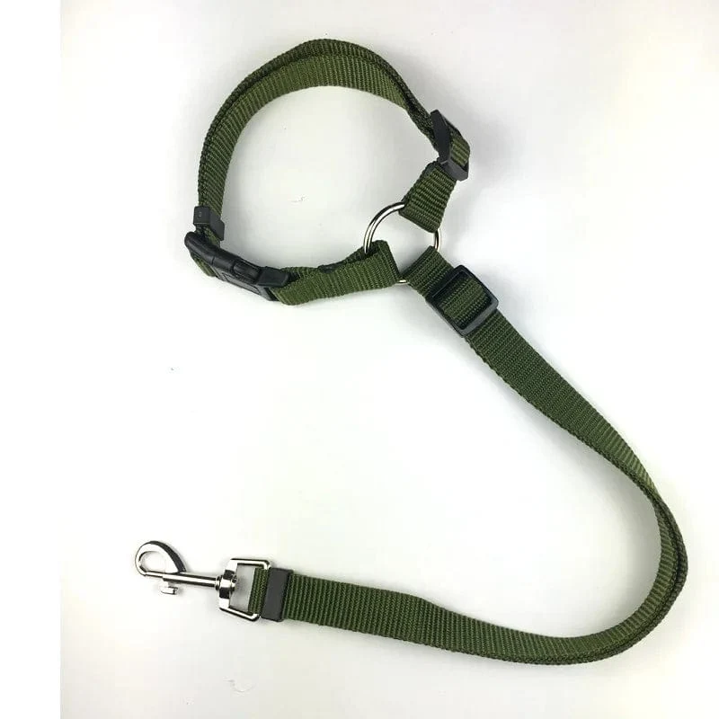 2-in-1-Hundegeschirr aus Nylon, verstellbar, Halsband, Hundezubehör, Sicherheitsgurt fürs Auto, Leine, Rücksitzgurt