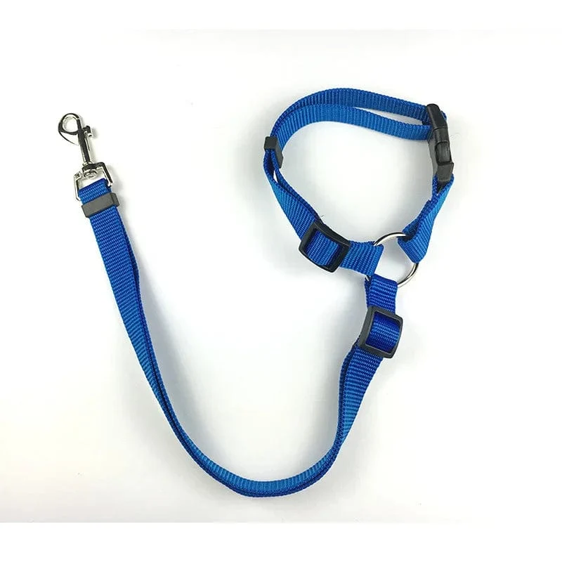 2-in-1-Hundegeschirr aus Nylon, verstellbar, Halsband, Hundezubehör, Sicherheitsgurt fürs Auto, Leine, Rücksitzgurt