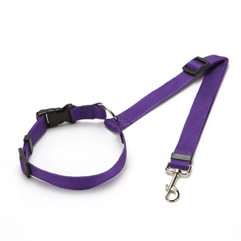 2-in-1-Hundegeschirr aus Nylon, verstellbar, Halsband, Hundezubehör, Sicherheitsgurt fürs Auto, Leine, Rücksitzgurt