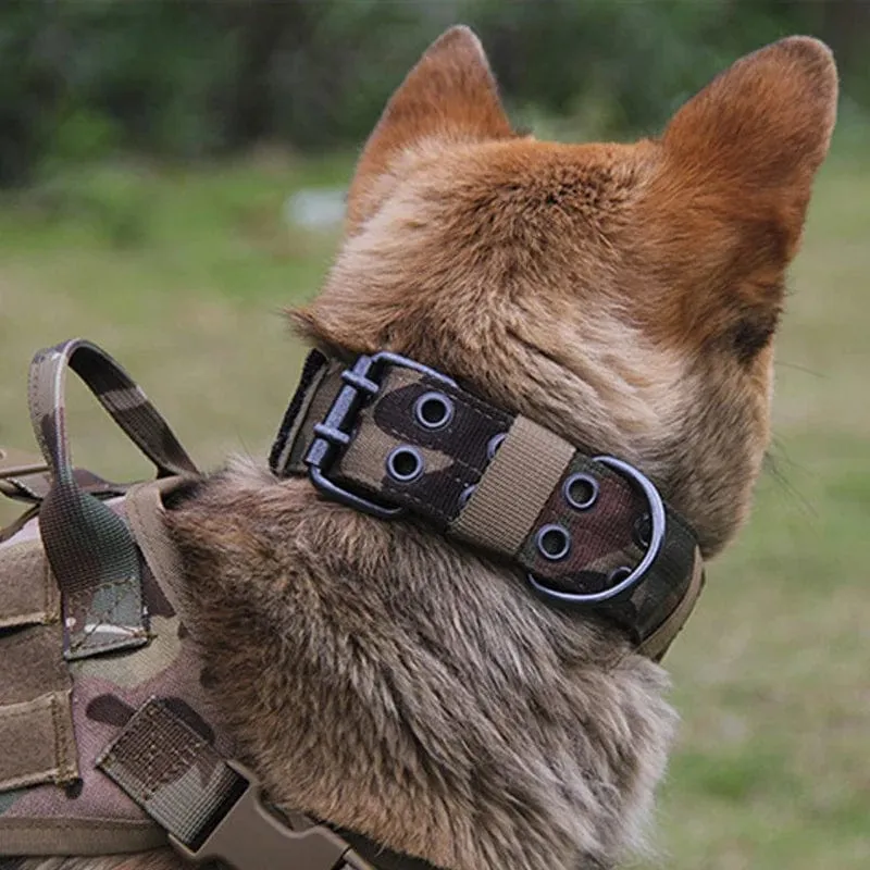 Verstellbares Hundehalsband, klassisch, reflektierend, für Training, Militär-Hundehalsband, Nylon, strapazierfähig, taktisches Hundehalsband, Deutscher Schäferhund