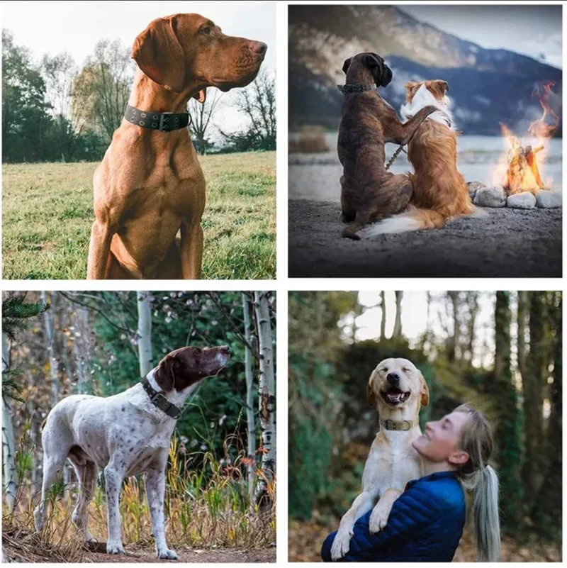 Verstellbares Hundehalsband, klassisch, reflektierend, für Training, Militär-Hundehalsband, Nylon, strapazierfähig, taktisches Hundehalsband, Deutscher Schäferhund
