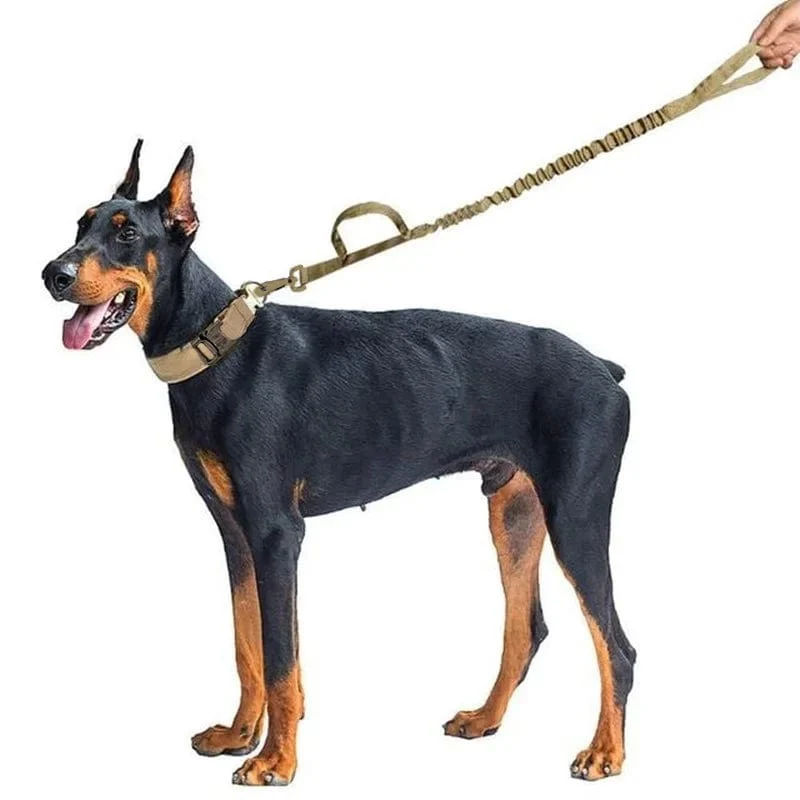 Taktisches Hundehalsband, Militär, verstellbar, robuste Nylon-Leine für mittelgroße und große Spaziergänge, Training, Haustier-Zubehör, abreißbare Leine, Seil