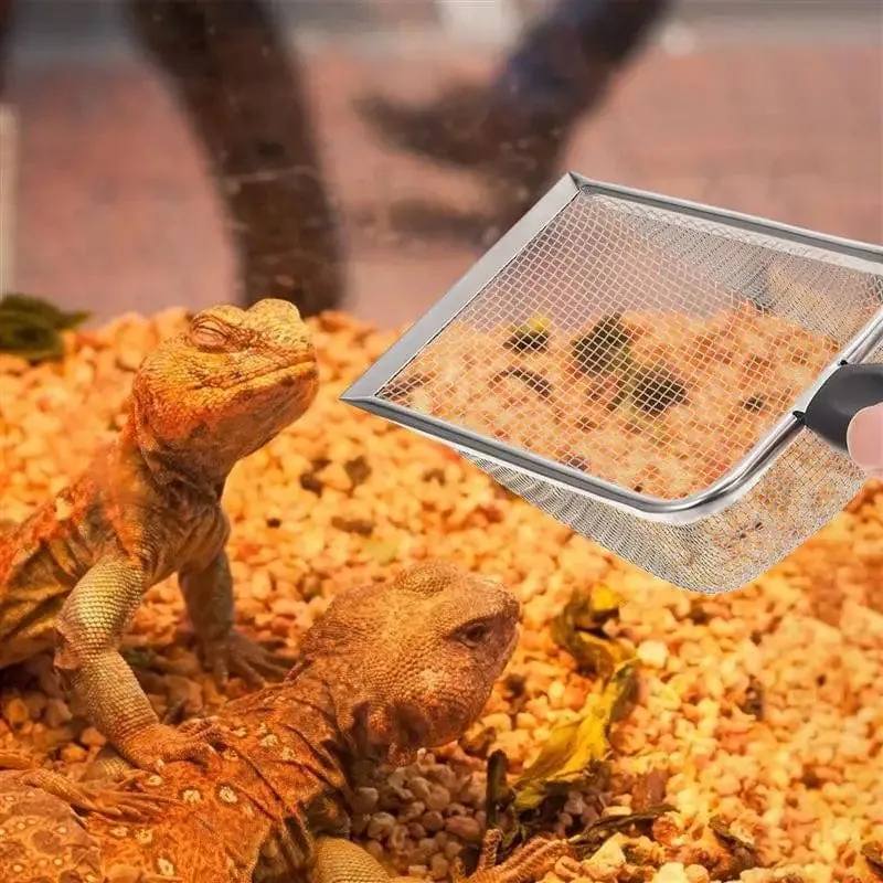 Kotschaufel, Reptilien-Terrarium-Streuschaufel, Sand, Edelstahl, Reptilienbox, Sandschaufel, Schildkrötenrückstände, Kotschaufeln