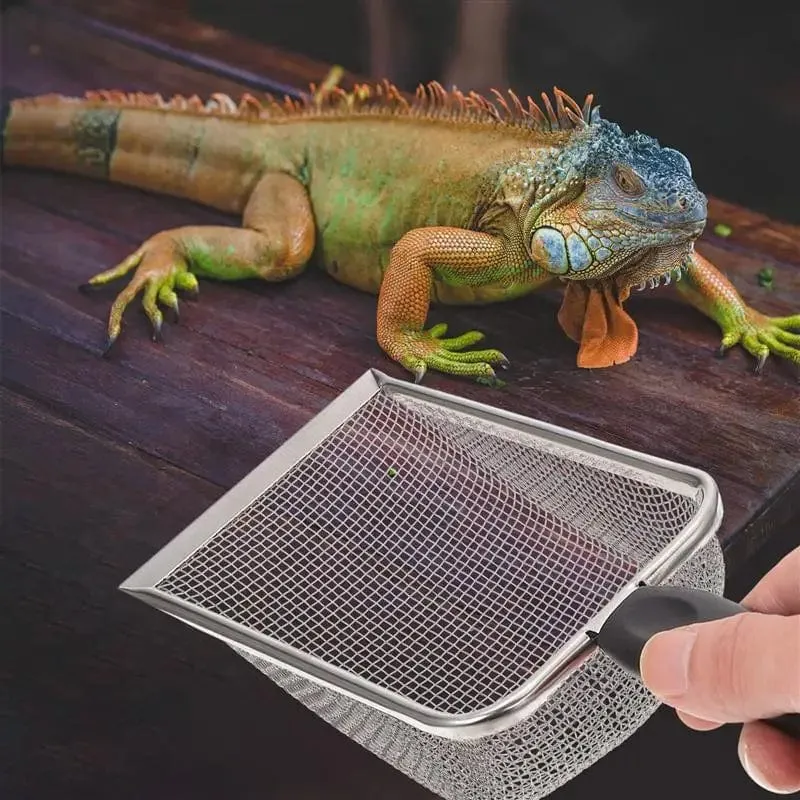 Kotschaufel, Reptilien-Terrarium-Streuschaufel, Sand, Edelstahl, Reptilienbox, Sandschaufel, Schildkrötenrückstände, Kotschaufeln