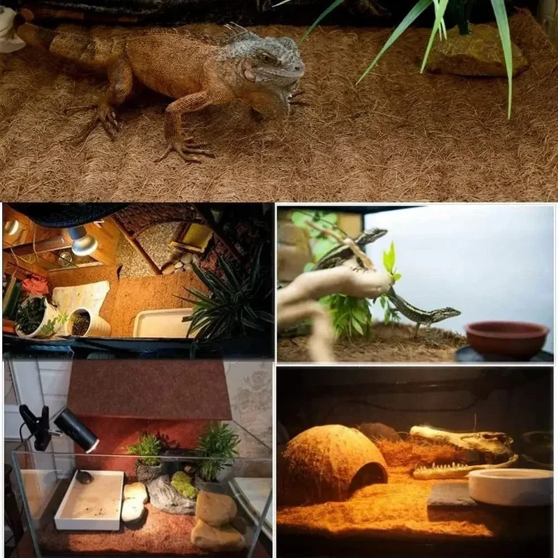 Reptilienteppich, natürliche Kokosnussfaser, Schildkrötenmatte für Haustier-Terrarium, Reptilienbedarf, Eidechse, Schlange, Chamelon, Schildkröte