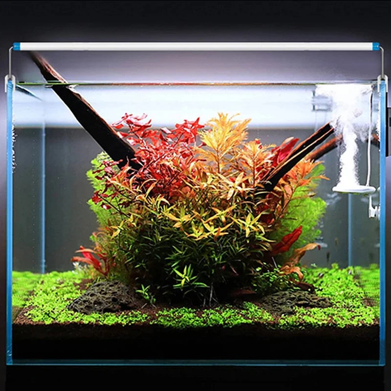 Aquarium LED-Licht EU/US-Stecker Aquarium Wasserpflanze wachsen Beleuchtung 28/48 cm weiß blau Clip-Lampe