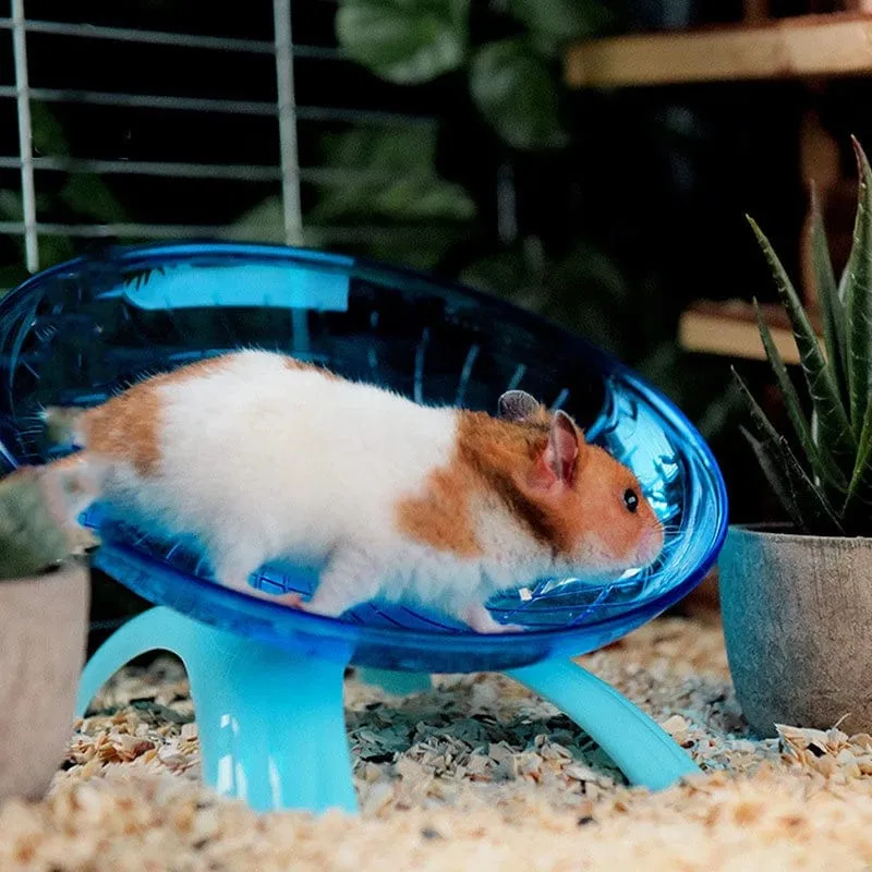 Haustier Hamster Fliegende Untertasse Übung Eichhörnchen Rad Hamster Maus Laufscheibe