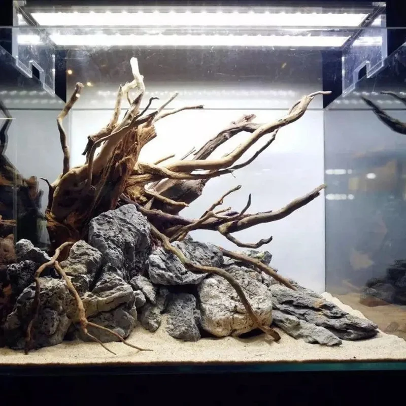 Aquarium Treibholz Natürliche Aquarium Pflanze Dekor Baum Aquarium Fisch Schüssel Stumpf Aquarium Hause Aquarium Landschaftsbau Dekor Haustier Werkzeug