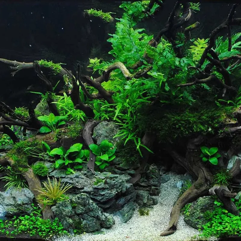 Aquarium Treibholz Natürliche Aquarium Pflanze Dekor Baum Aquarium Fisch Schüssel Stumpf Aquarium Hause Aquarium Landschaftsbau Dekor Haustier Werkzeug