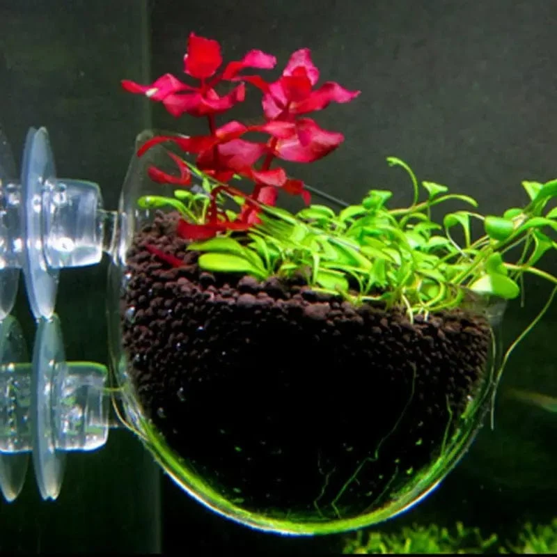Aquarium Dekoration Aquarium Kleiner Glastopf Wasser Topf Pflanzen Zylinder Tasse Aufzucht Landschaft Becken