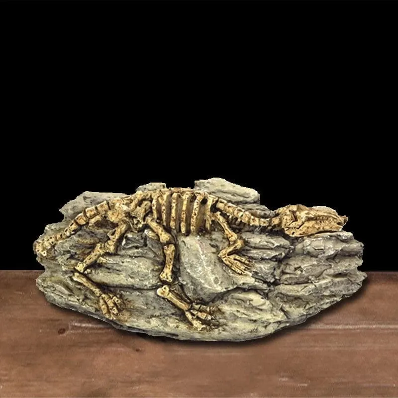 Tiere Schädel Aquarium Fossil Dinosaurier Ornamente Aquarium Nashorn Knochen Dekoration Goldfischglas Krokodil Qualle Karpfen Schildkröte