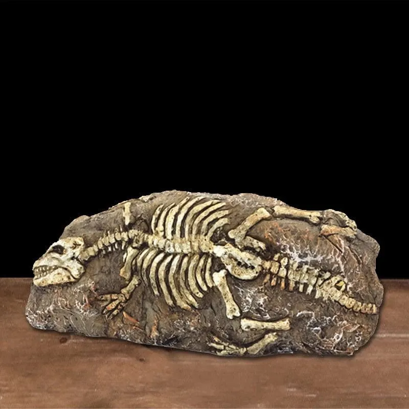 Tiere Schädel Aquarium Fossil Dinosaurier Ornamente Aquarium Nashorn Knochen Dekoration Goldfischglas Krokodil Qualle Karpfen Schildkröte