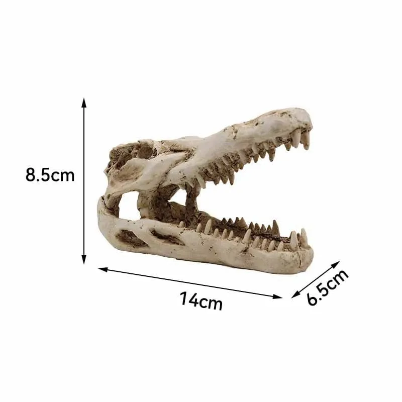 Tiere Schädel Aquarium Fossil Dinosaurier Ornamente Aquarium Nashorn Knochen Dekoration Goldfischglas Krokodil Qualle Karpfen Schildkröte
