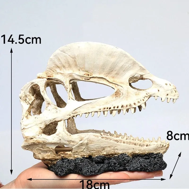 Tiere Schädel Aquarium Fossil Dinosaurier Ornamente Aquarium Nashorn Knochen Dekoration Goldfischglas Krokodil Qualle Karpfen Schildkröte