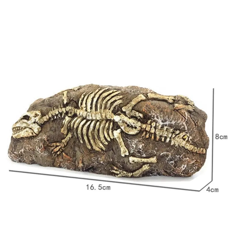 Tiere Schädel Aquarium Fossil Dinosaurier Ornamente Aquarium Nashorn Knochen Dekoration Goldfischglas Krokodil Qualle Karpfen Schildkröte