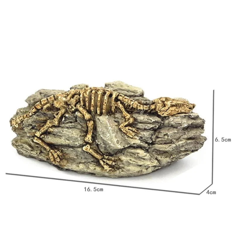 Tiere Schädel Aquarium Fossil Dinosaurier Ornamente Aquarium Nashorn Knochen Dekoration Goldfischglas Krokodil Qualle Karpfen Schildkröte