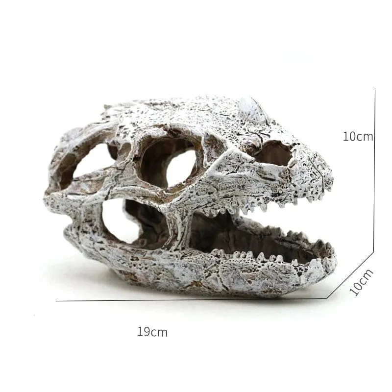 Tiere Schädel Aquarium Fossil Dinosaurier Ornamente Aquarium Nashorn Knochen Dekoration Goldfischglas Krokodil Qualle Karpfen Schildkröte