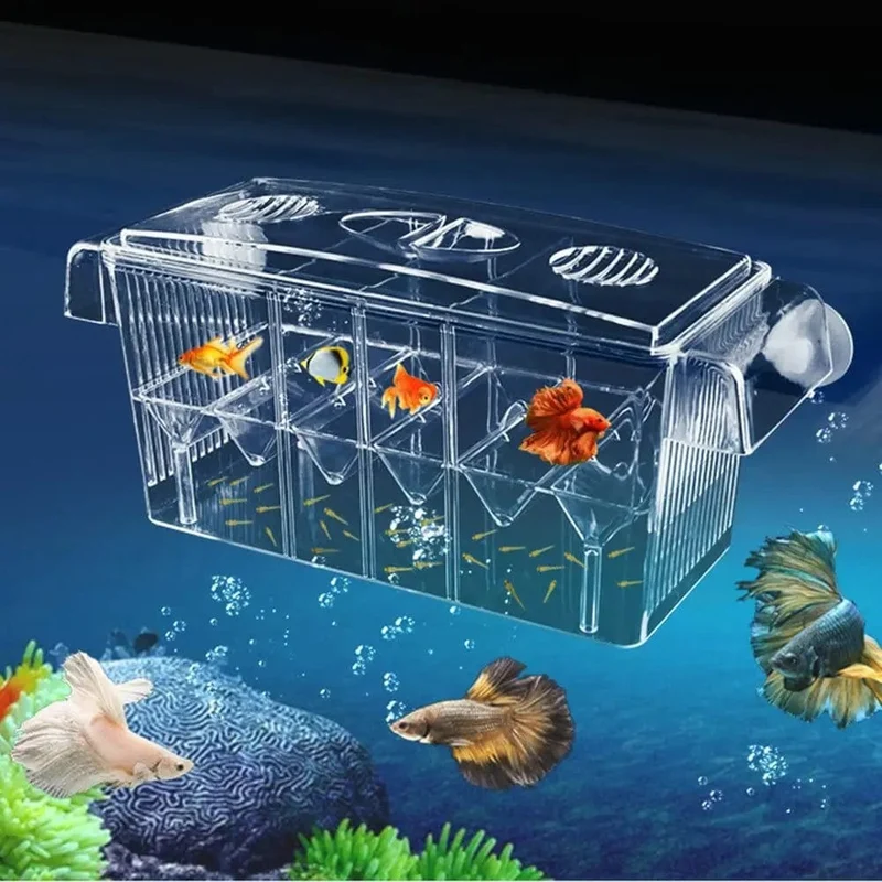 Aquarium-Zucht-Inkubator-Isolationsbox, doppelschichtig, 4 Räume, transparentes Acryl, selbstschwimmende Fischbrüterei-Box, Fischtank