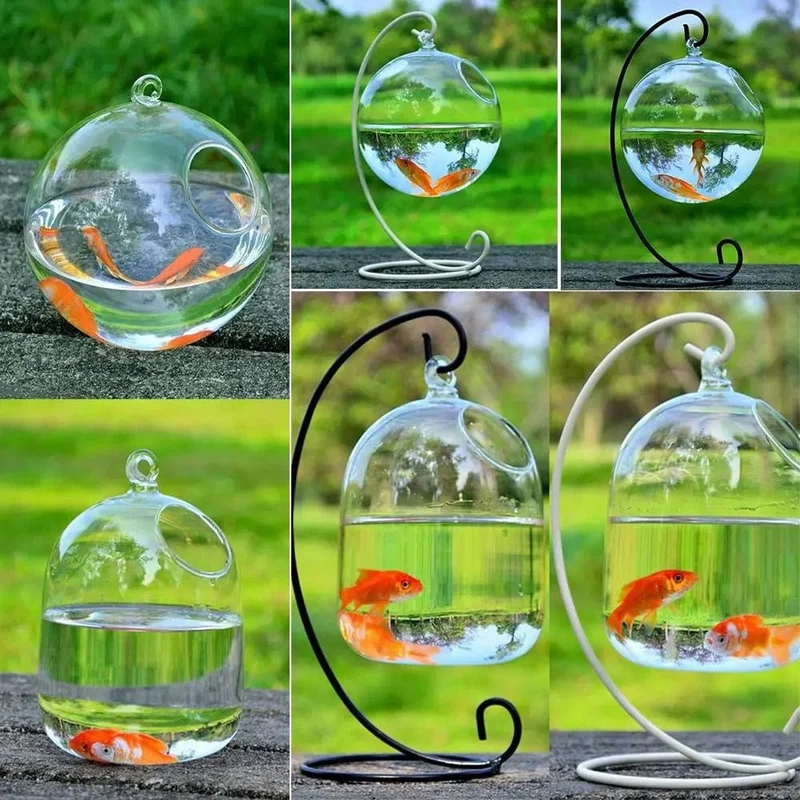 Runde/rechteckige Form, hängendes Glasaquarium, Fischbehälter, transparente Vase, Ornament mit Regalhalter, Heimdekoration