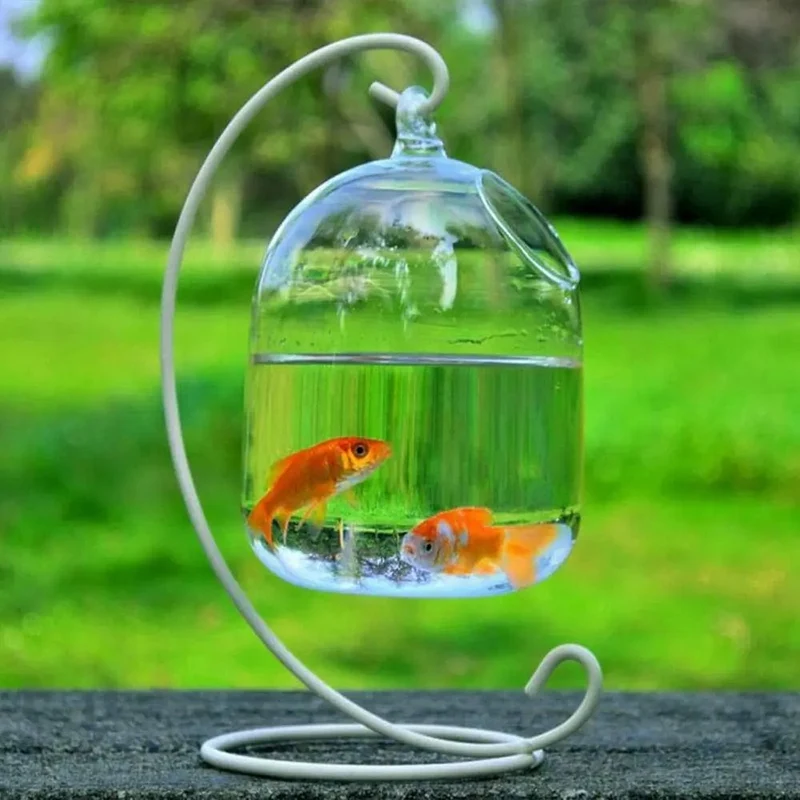 Runde/rechteckige Form, hängendes Glasaquarium, Fischbehälter, transparente Vase, Ornament mit Regalhalter, Heimdekoration