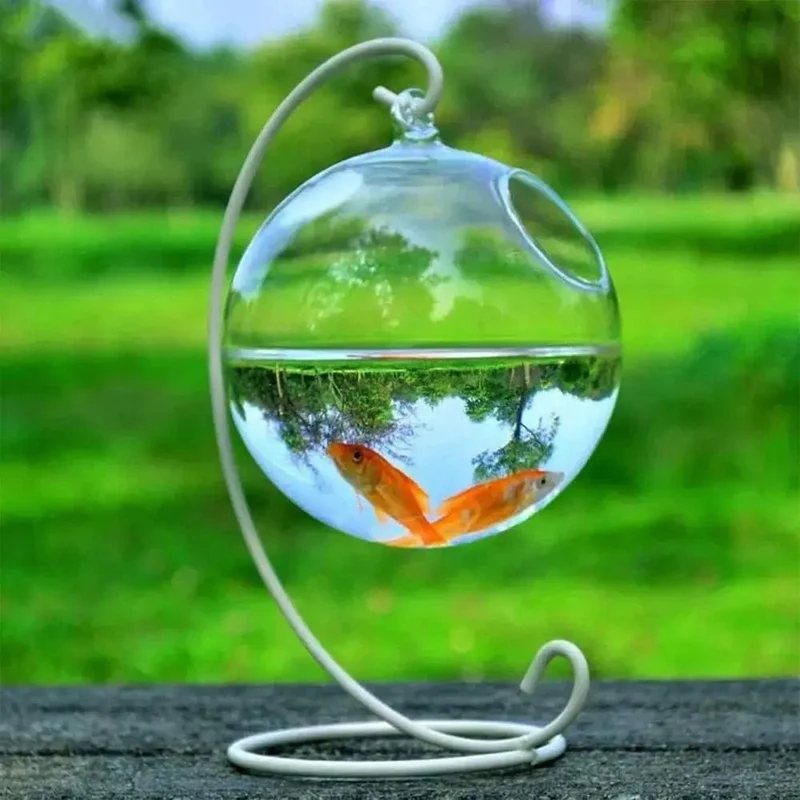 Runde/rechteckige Form, hängendes Glasaquarium, Fischbehälter, transparente Vase, Ornament mit Regalhalter, Heimdekoration
