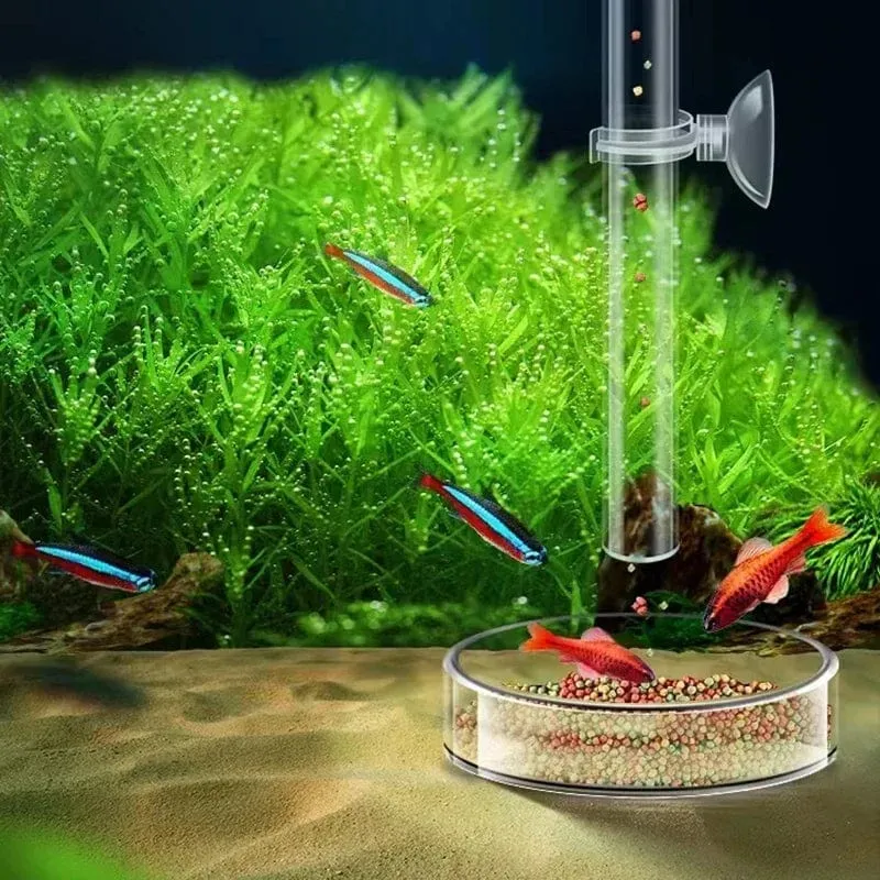 Acryl Aquarium Feeder Tube Dish Transparent Aquarium Garnelen Schnecke Garnelen Lebensmittel Feeder Bowl Aquarium Fütterung Zubehör