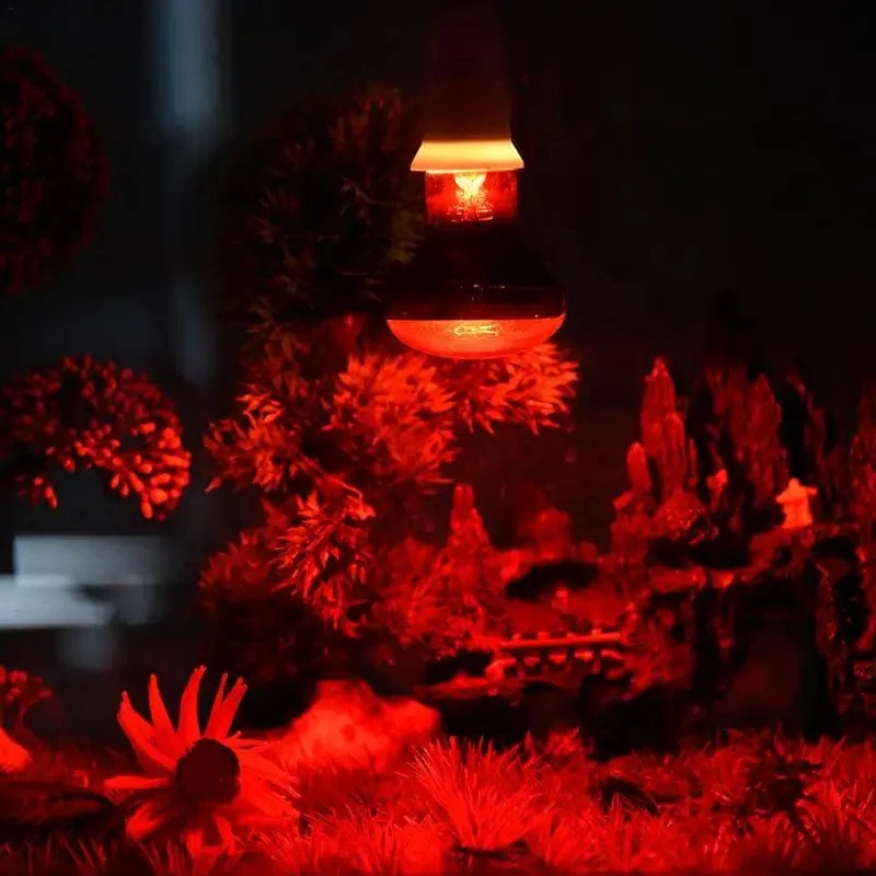 Haustier Rote Heizlampe E27 Tag Nacht für Amphibienschlange Lampe Wärme Reptilienlampe UV-Licht 25W 50W 100W AC220-240V