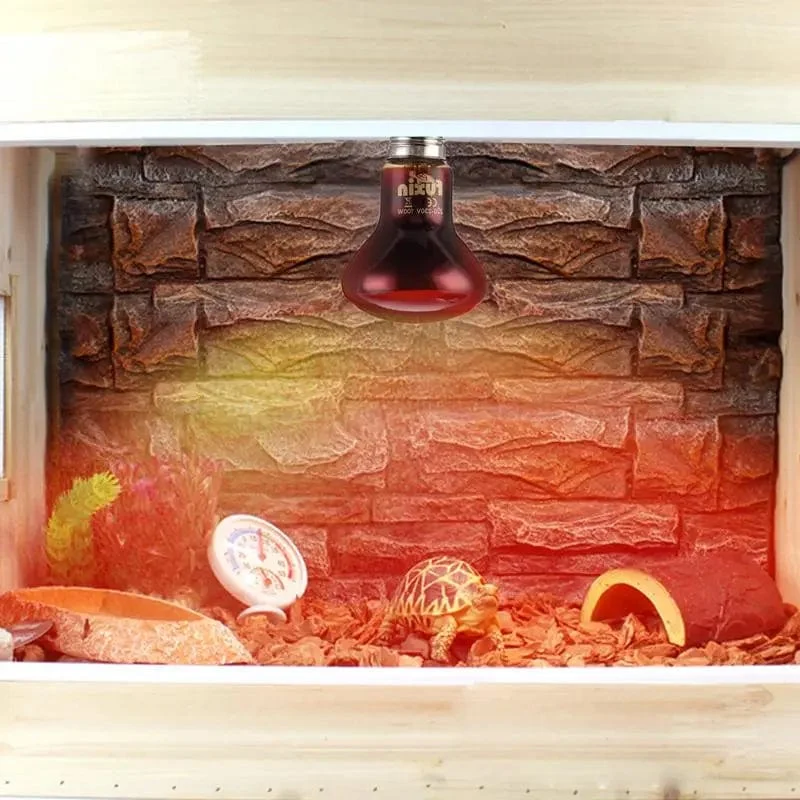 Haustier Rote Heizlampe E27 Tag Nacht für Amphibienschlange Lampe Wärme Reptilienlampe UV-Licht 25W 50W 100W AC220-240V