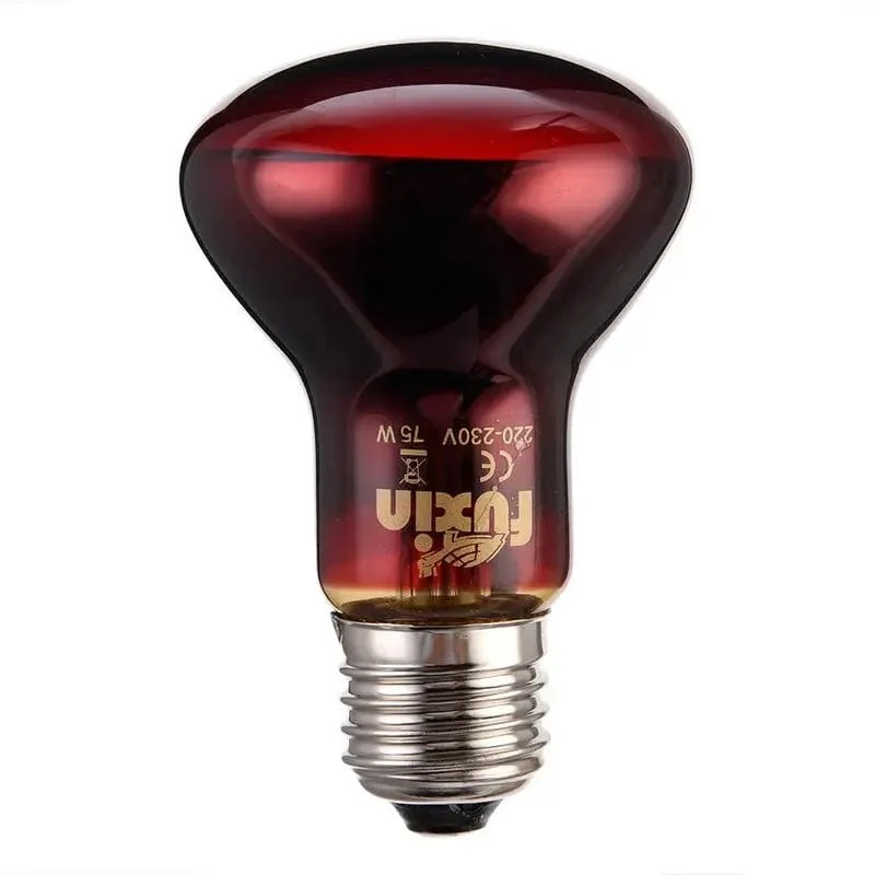 Haustier Rote Heizlampe E27 Tag Nacht für Amphibienschlange Lampe Wärme Reptilienlampe UV-Licht 25W 50W 100W AC220-240V
