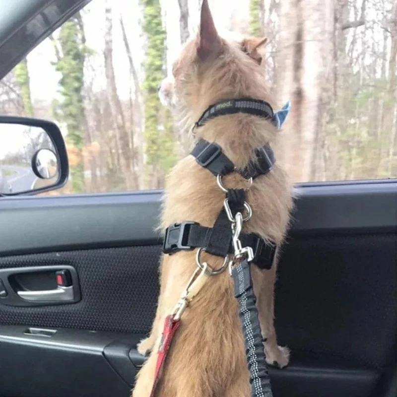 Sicherheitsgurt für Hunde im Auto, einziehbarer Puffer, elastisch, reflektierendes Sicherheits-Zugseil, Hundeleine, Geschirr, Hunde, Hundezubehör