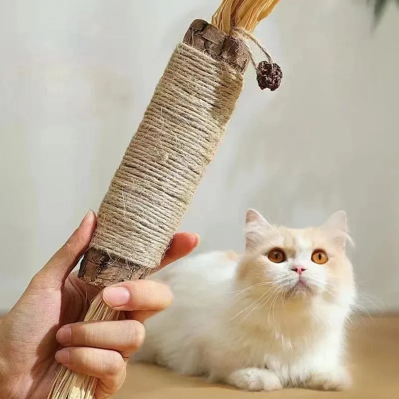 Katzenminze-Katzenspielzeug, natürlicher Matatabi-Snack für Katzen, reinigt Zahn- und Haarentfernung zur Förderung der Verdauung, Silvervine-Kauspielzeug für Kätzchen