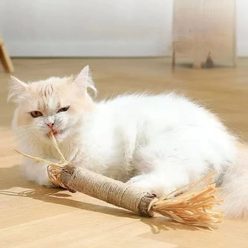 Katzenminze-Katzenspielzeug, natürlicher Matatabi-Snack für Katzen, reinigt Zahn- und Haarentfernung zur Förderung der Verdauung, Silvervine-Kauspielzeug für Kätzchen