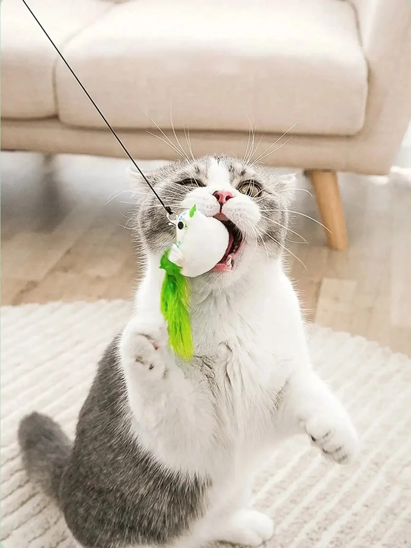 1 Stück Katzenspielzeug mit austauschbaren Stahldraht-Spielzeugköpfen, lustiges Spielzeug für Kätzchen oder Katzen zum Spielen und Kratzen