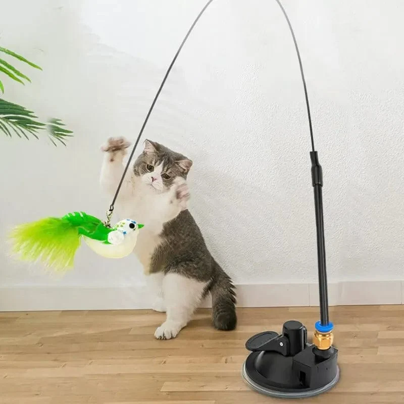 1 Stück Katzenspielzeug mit austauschbaren Stahldraht-Spielzeugköpfen, lustiges Spielzeug für Kätzchen oder Katzen zum Spielen und Kratzen