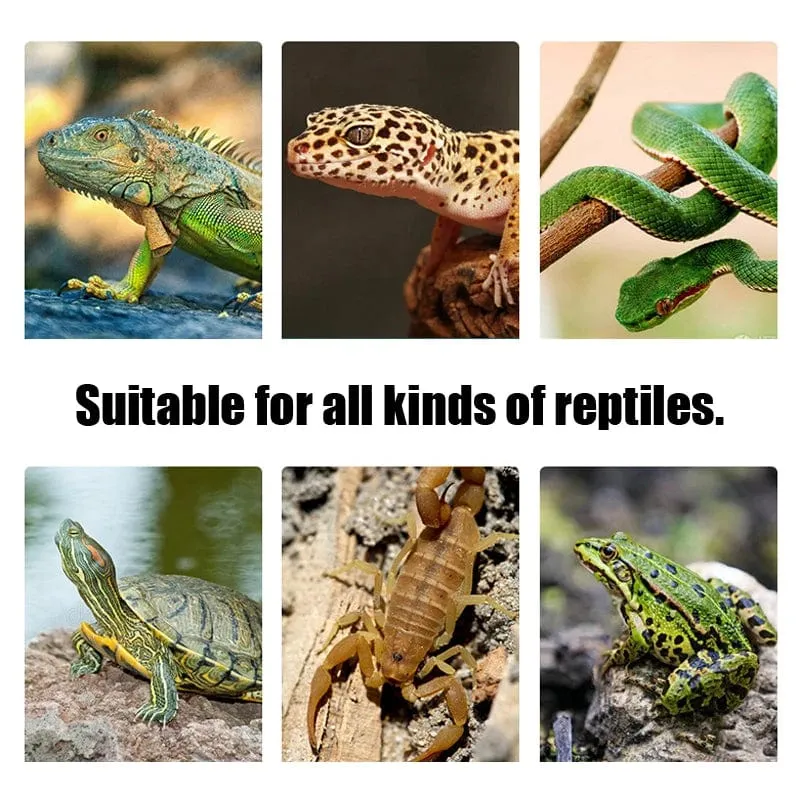 Terrarium Reptilien Eidechse Wärme Matte Klettern Haustier Heizung Warme Pads Intelligente Einstellbare Temperatur Controller Matten 110 v/220 v