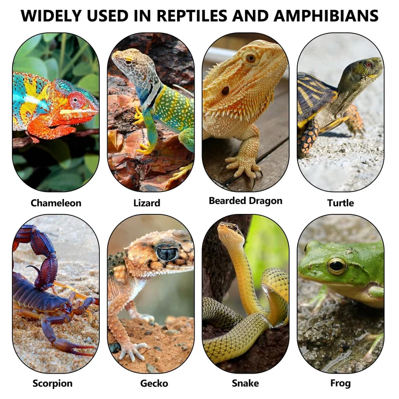 5-45 W Terrarium Reptilien Wärme Matte Klettern Haustier Heizung Warme Pads Einstellbare Temperatur Controller Matten Reptilien Versorgung EU stecker