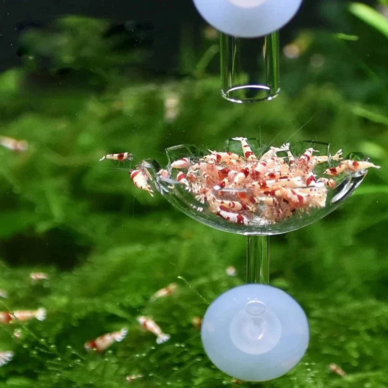 Garnelen-Futterschale, Garnelen-Futterschale, Aquarium, Garnelen-Futterschale, Fütterung, Klarglas-Futterrohr, Saugzubehör