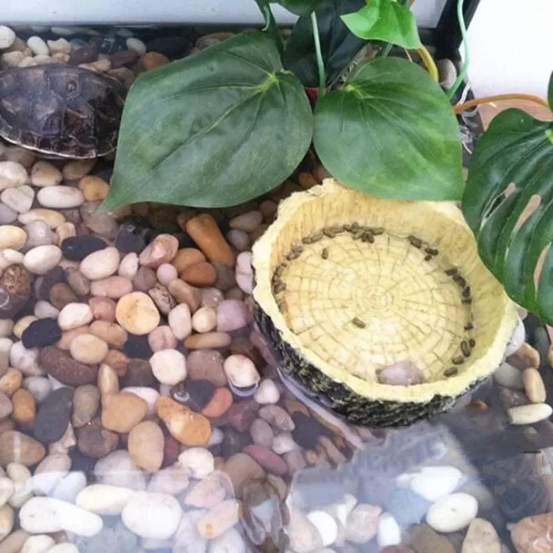 Futternapf für Reptilien, Kunstharz, für Aquarien, Becken, Futter- und Wassertopf, für Reptilien, Schildkröten, Skorpione, Eidechsen, Krabben, Zubehör, Dropshipping