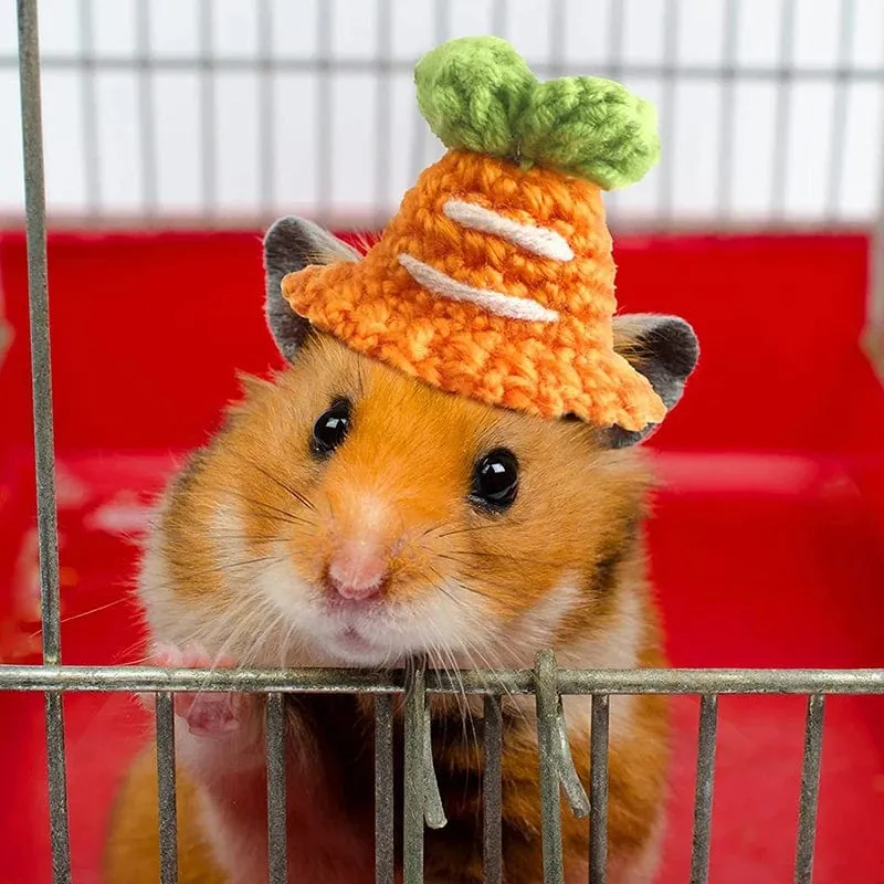 Süße handgemachte Strickmütze Hamster Dekoration Streifenhörnchen Meerschweinchen Hamster Zubehör Hamster Spielzeug Hamsterbedarf Kleine Haustiermütze