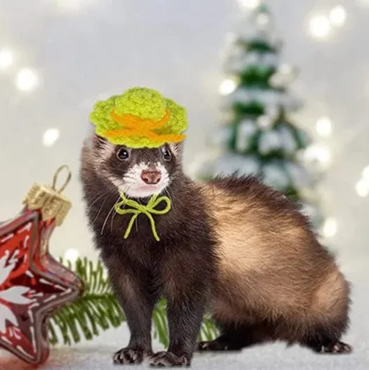 Süße handgemachte Strickmütze Hamster Dekoration Streifenhörnchen Meerschweinchen Hamster Zubehör Hamster Spielzeug Hamsterbedarf Kleine Haustiermütze