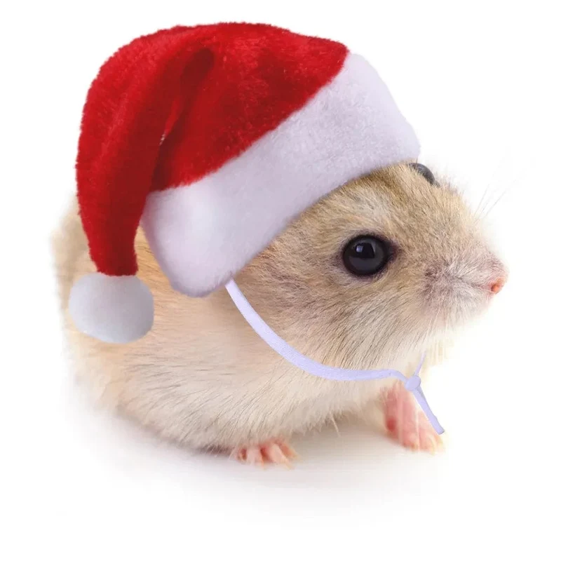 Hamster Meerschweinchen Weihnachtsmütze Kostüm Mini Kleine Haustiermütze Weihnachtskopfbedeckung Haustier Outfits für Chinchilla Kaninchen Igel