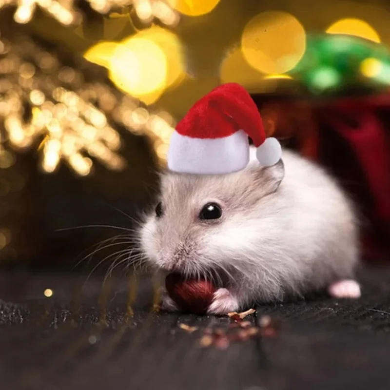 Hamster Meerschweinchen Weihnachtsmütze Kostüm Mini Kleine Haustiermütze Weihnachtskopfbedeckung Haustier Outfits für Chinchilla Kaninchen Igel