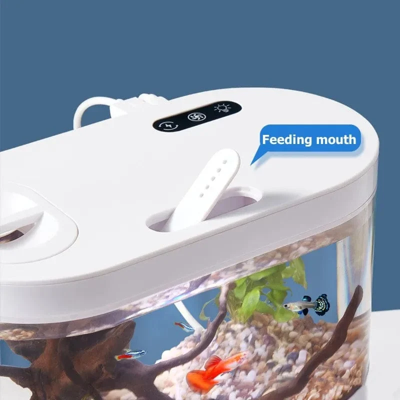 Desktop-kreatives Mini-Aquarium mit biochemischem Filtersystem und LED-Licht, Betta Fish, ökologischer Wasserkreislauf