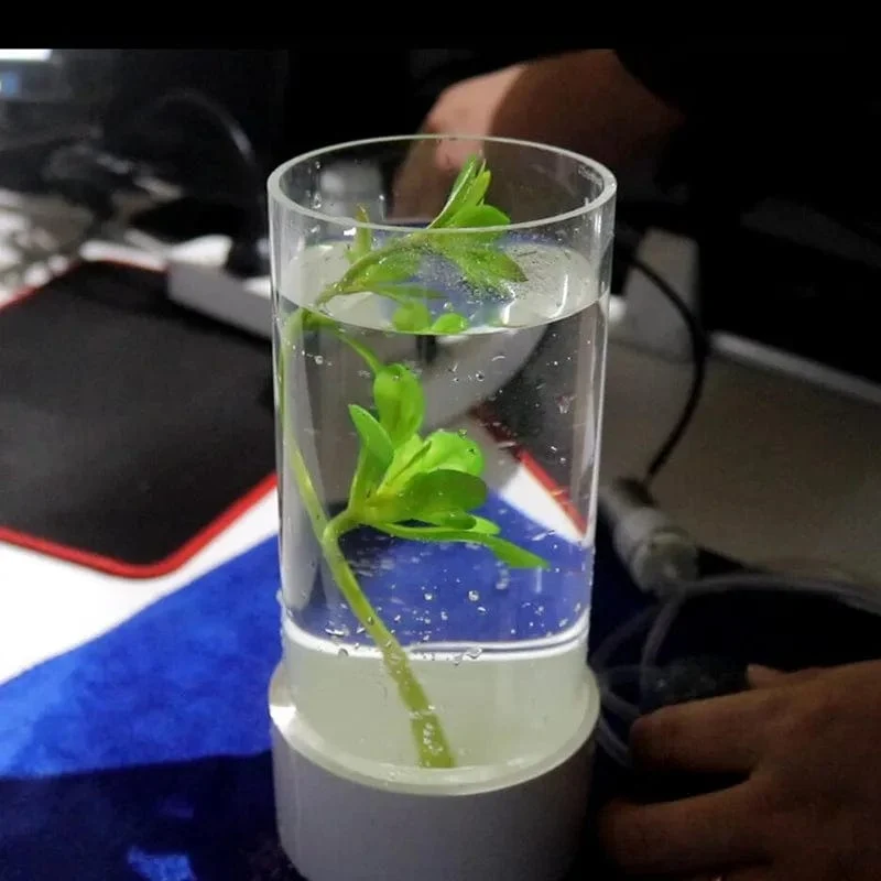110mm ~ 160mm Transparent Klar Acryl Rohr DIY Dekoration Stress Relief MINI Aquarium Aquarium Zubehör PMMA Rohr